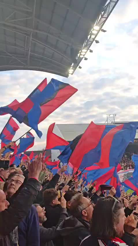 @Back Of The Nest