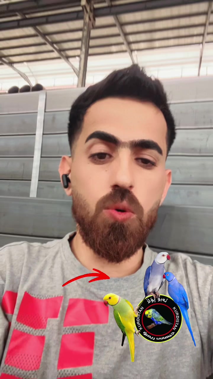 @أبو پؤلا