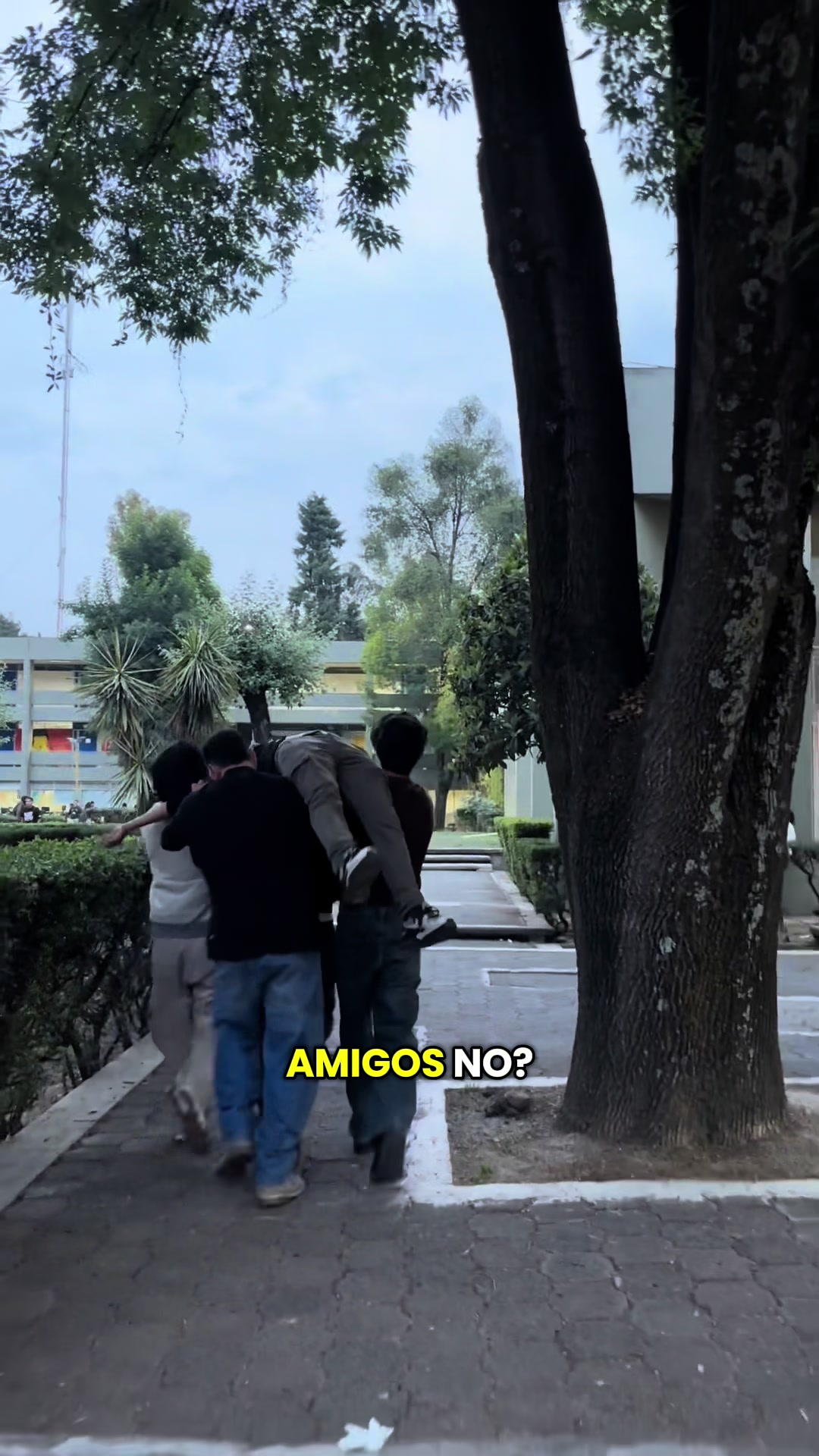 @El consejo