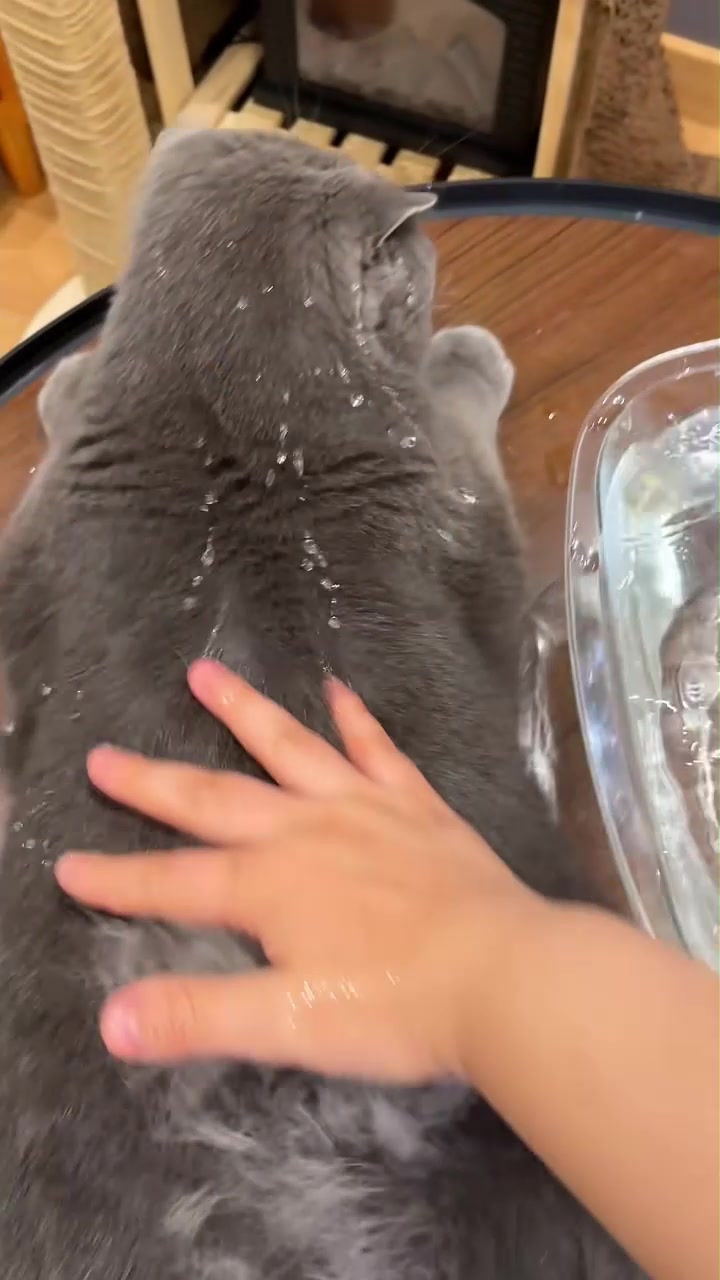 @lklkgfgf62