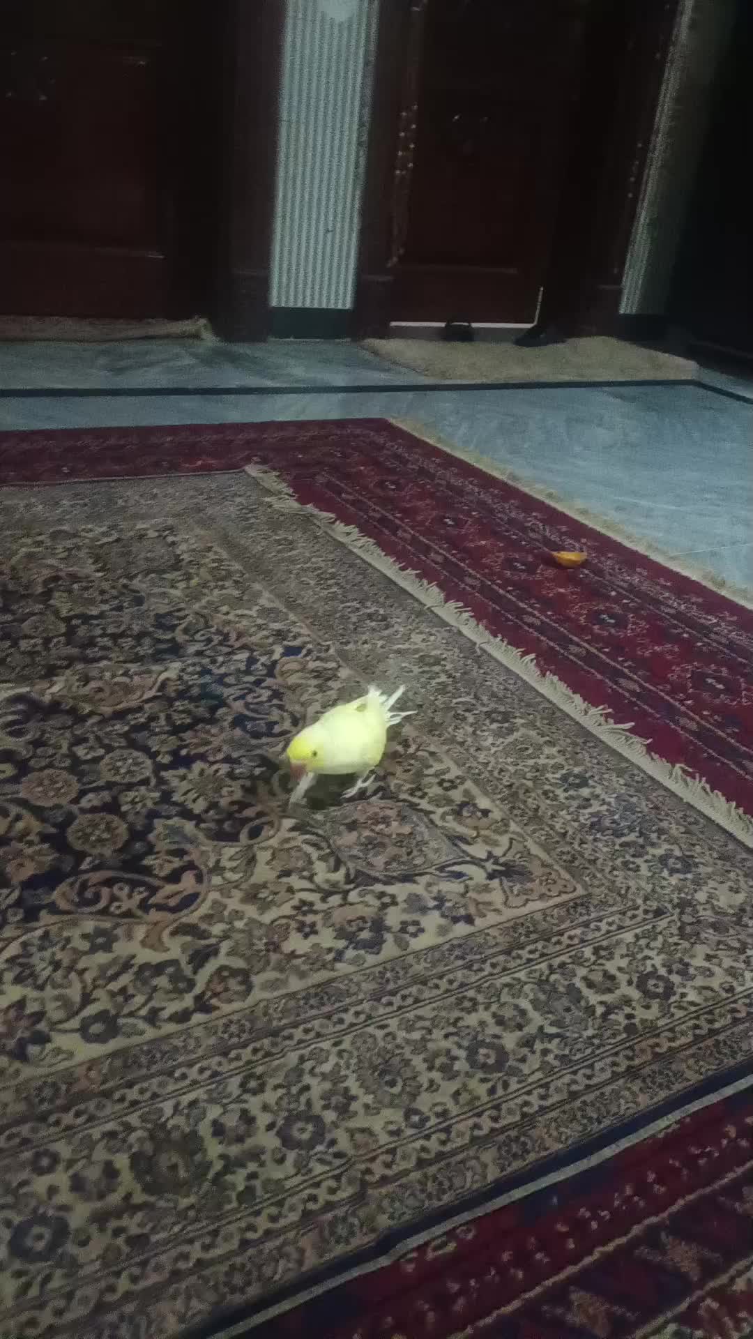 @A F F A N