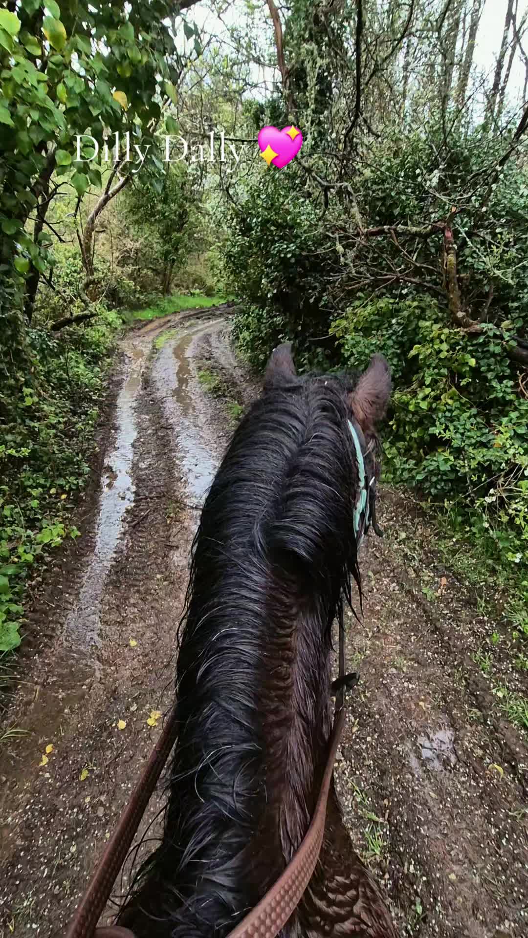 @Sinead 🐴 🖤💜🏍