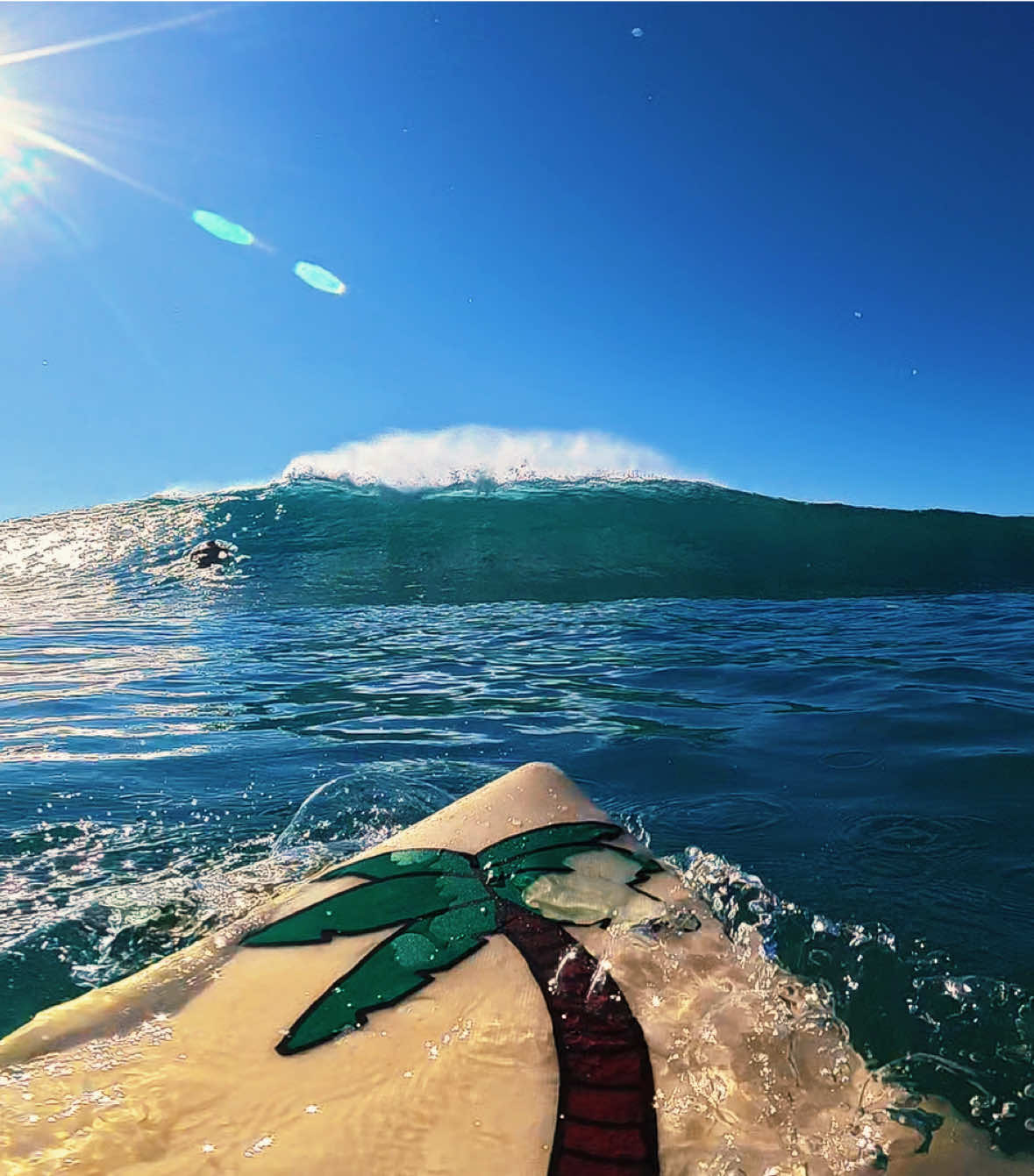 @Casey surfs🏄♂️