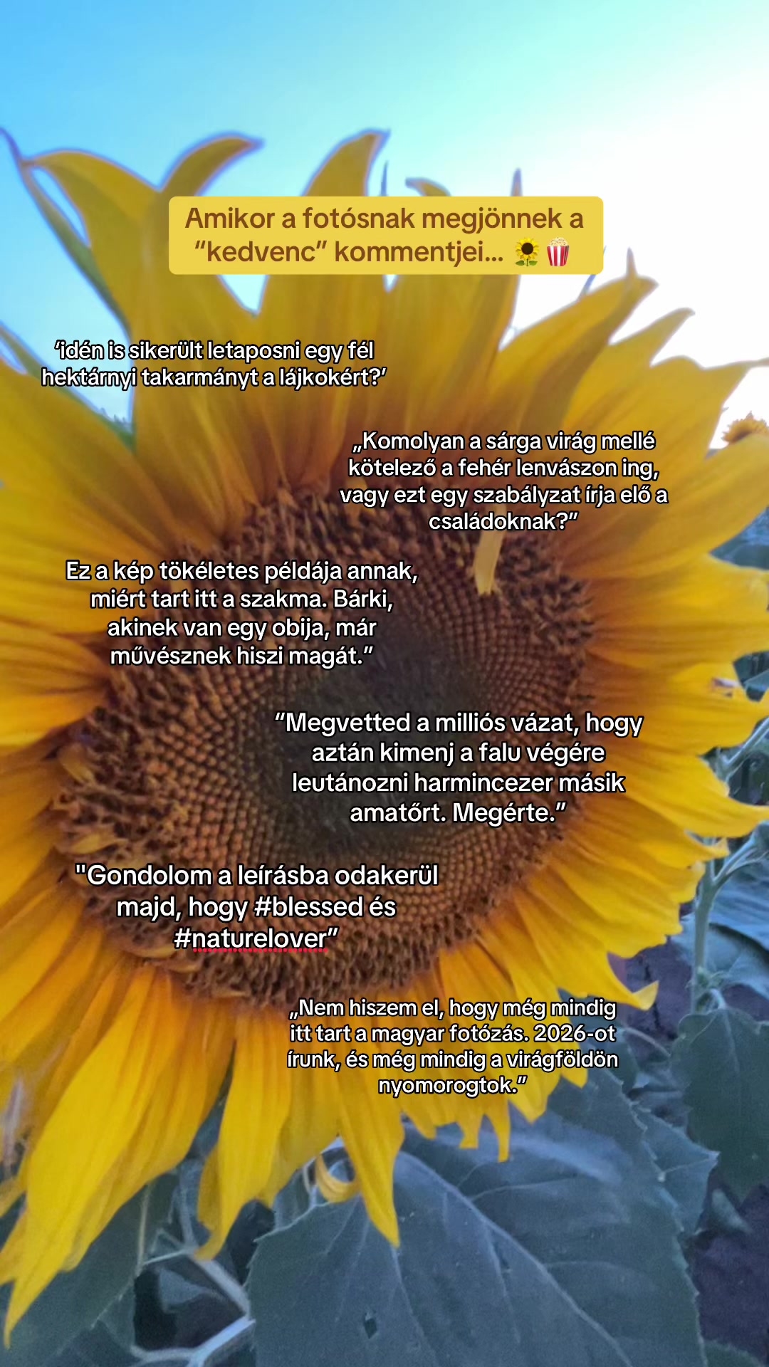 @sunlight.photo