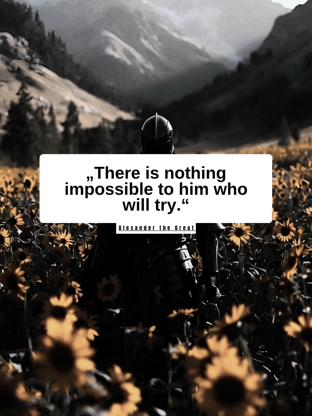 @WiseWords