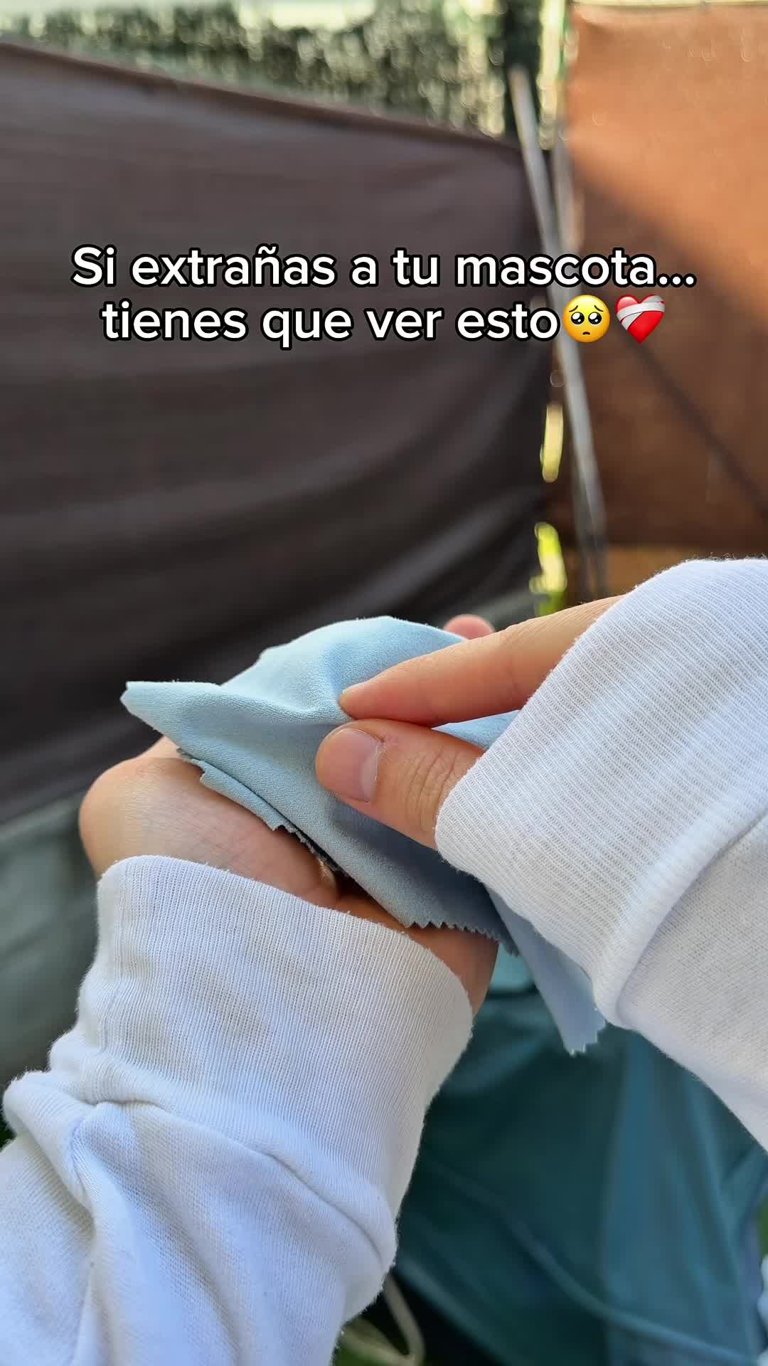 @🔮ENLACE EN LA BI0🔮