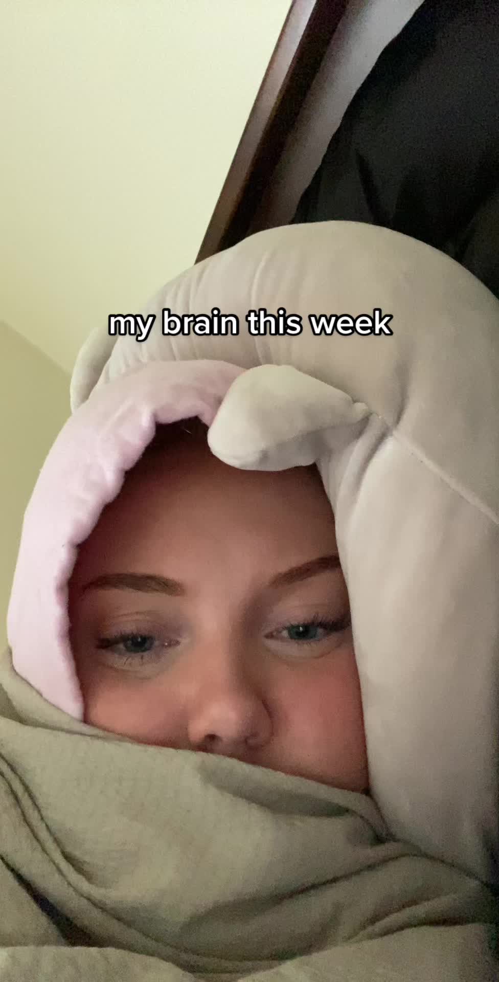 @taylor shelah