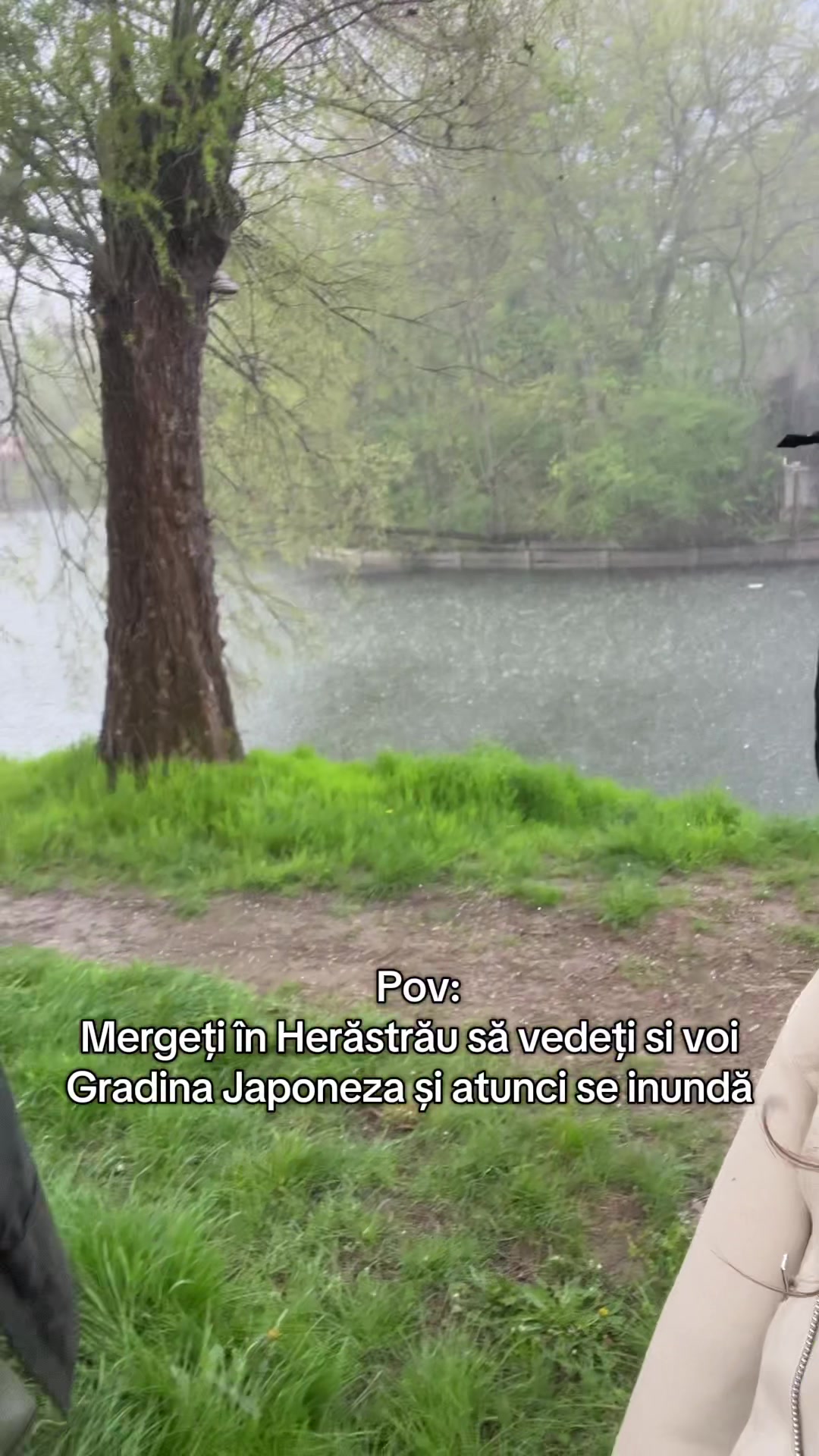 @Denisa Negulescu