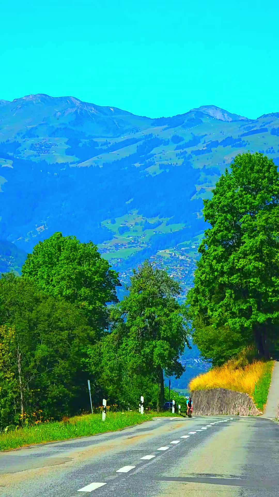 @🇨🇭flores Sérgio 🇵🇹