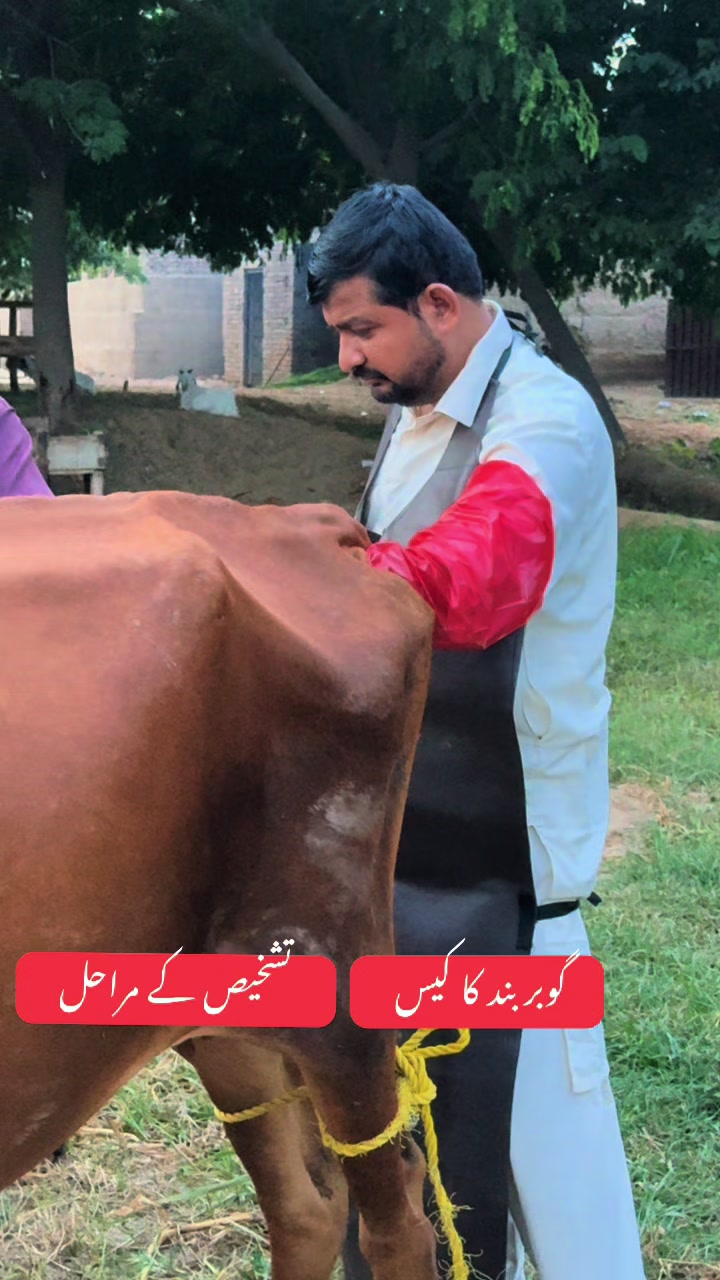 @Dr.Mohsin