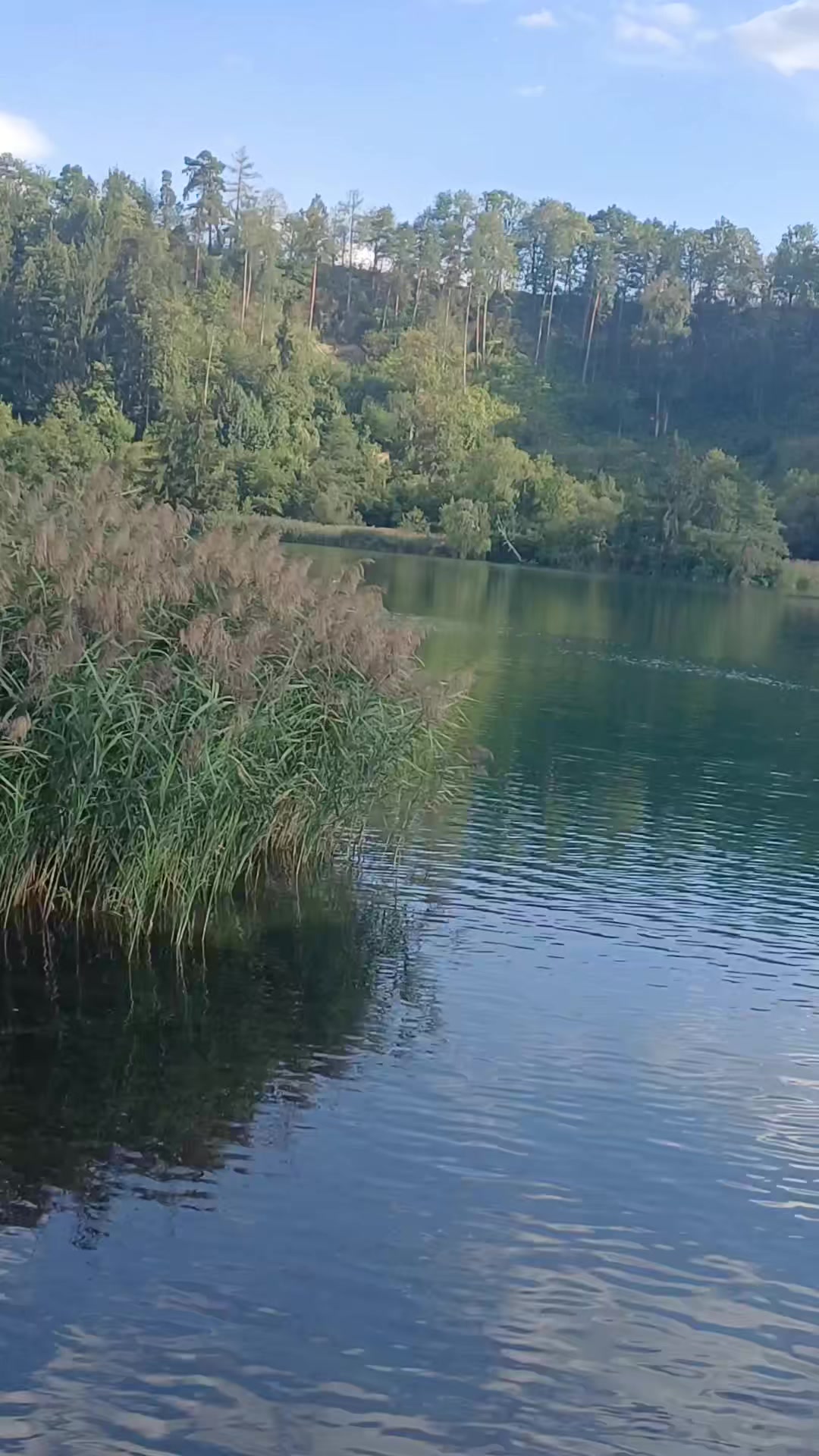 @🇧🇦Bosanka🇧🇦