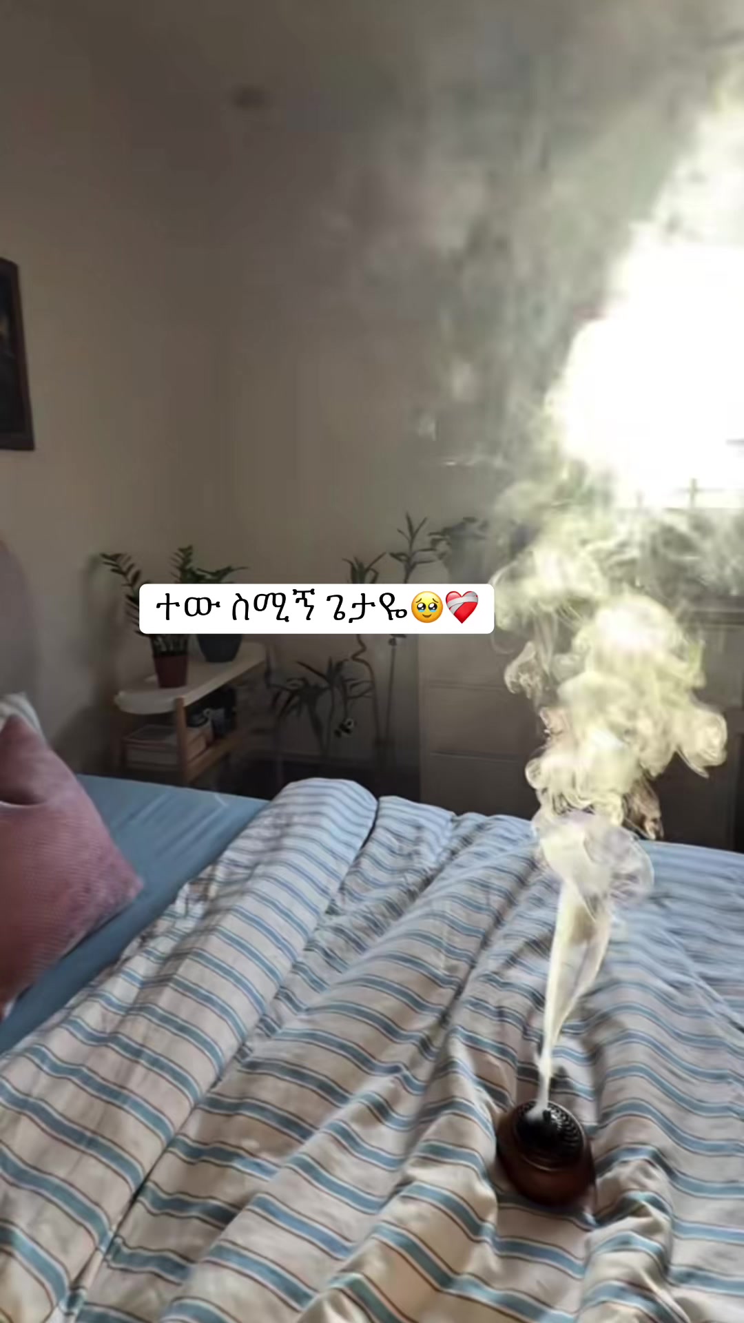 @Lij Zd๐ง๐ป๐ฟ