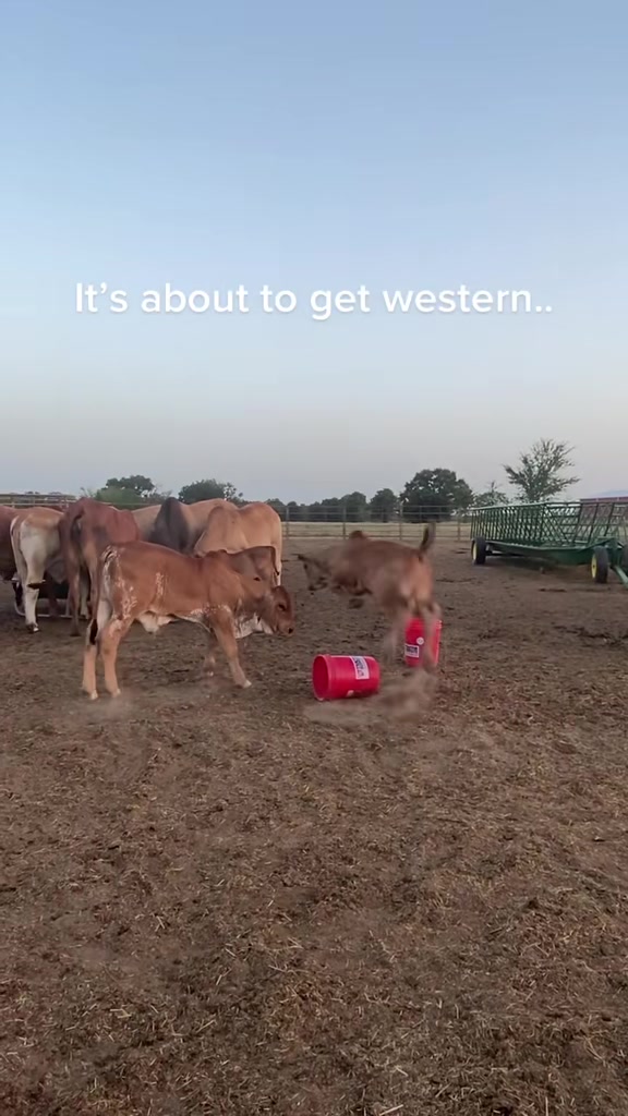 @The V6 Ranch