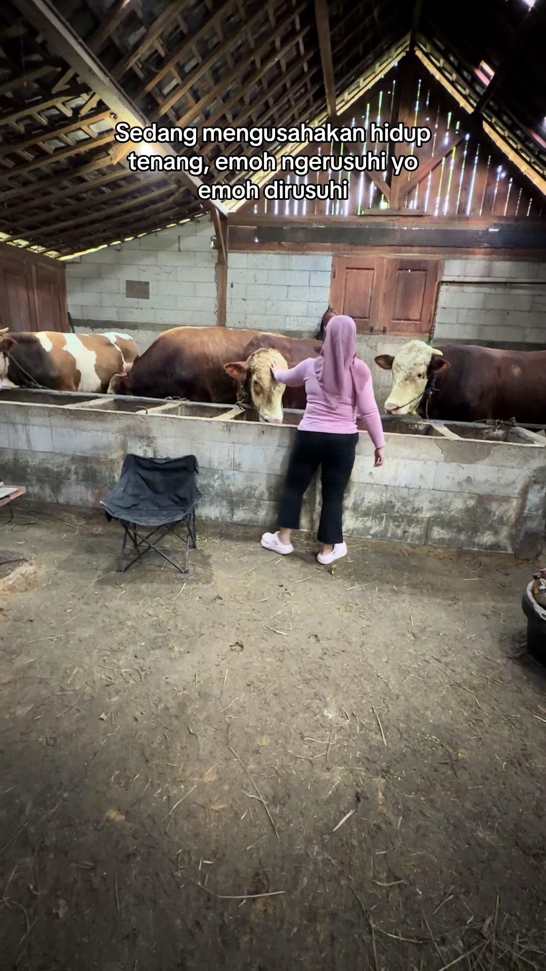 @zero farm