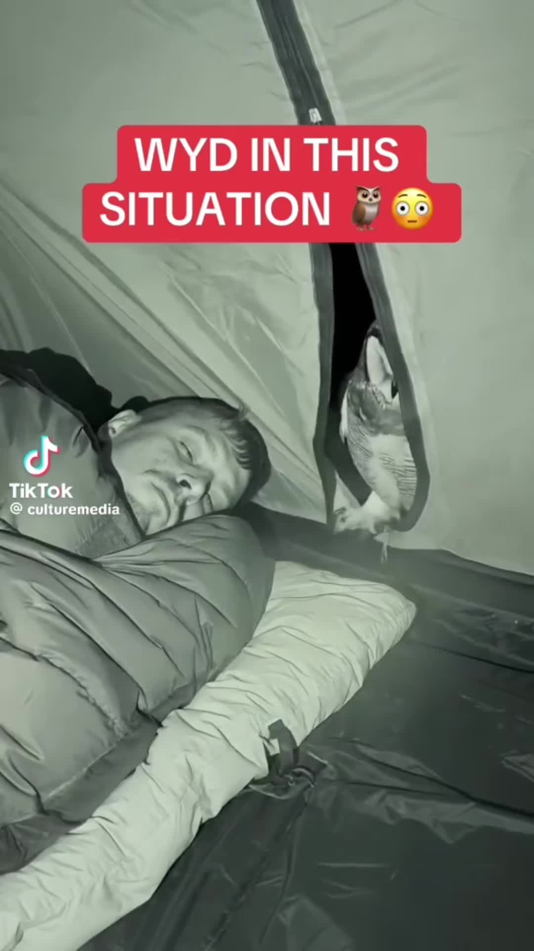 @2BeBetter