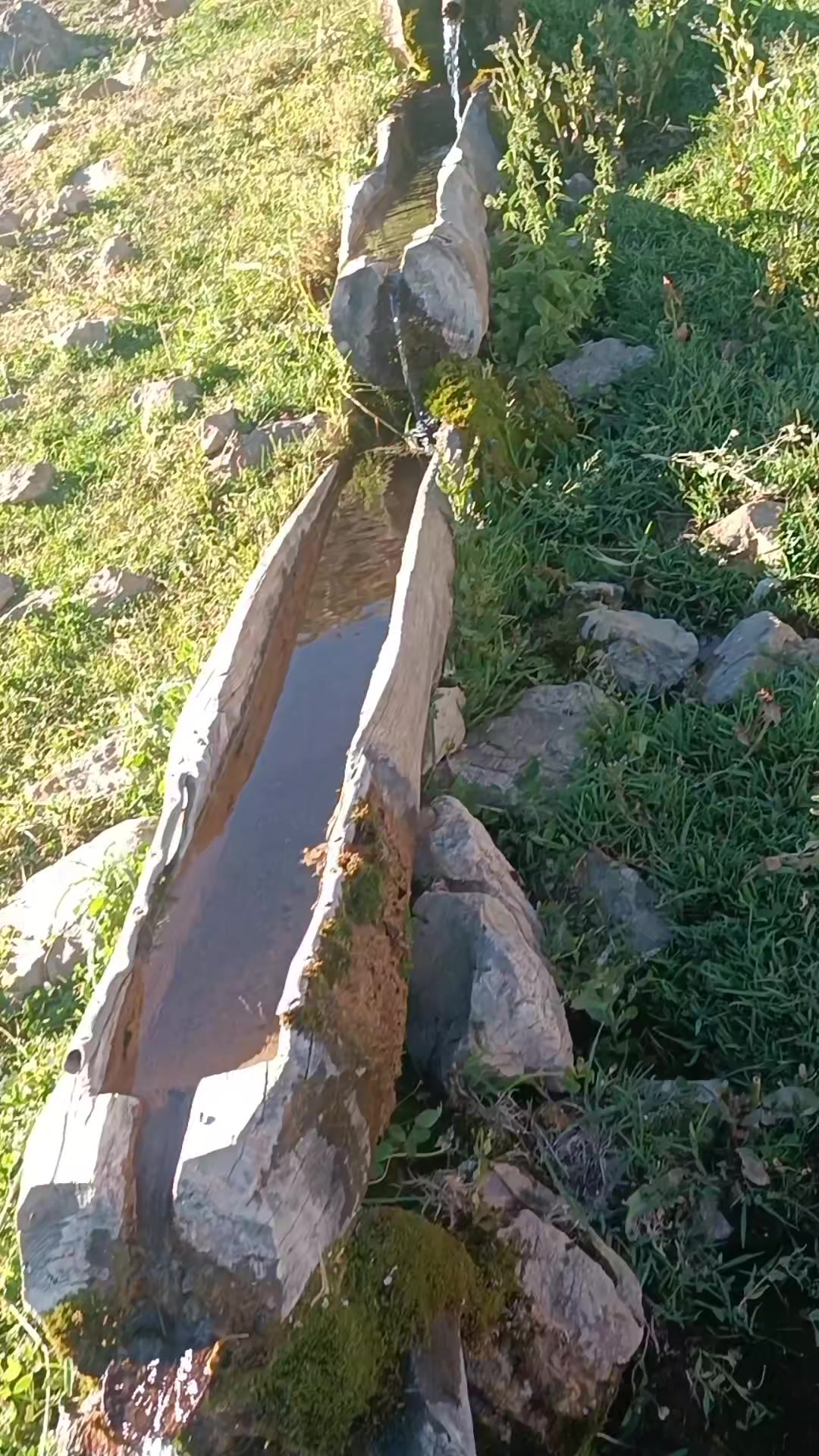 @DAĞCI.46