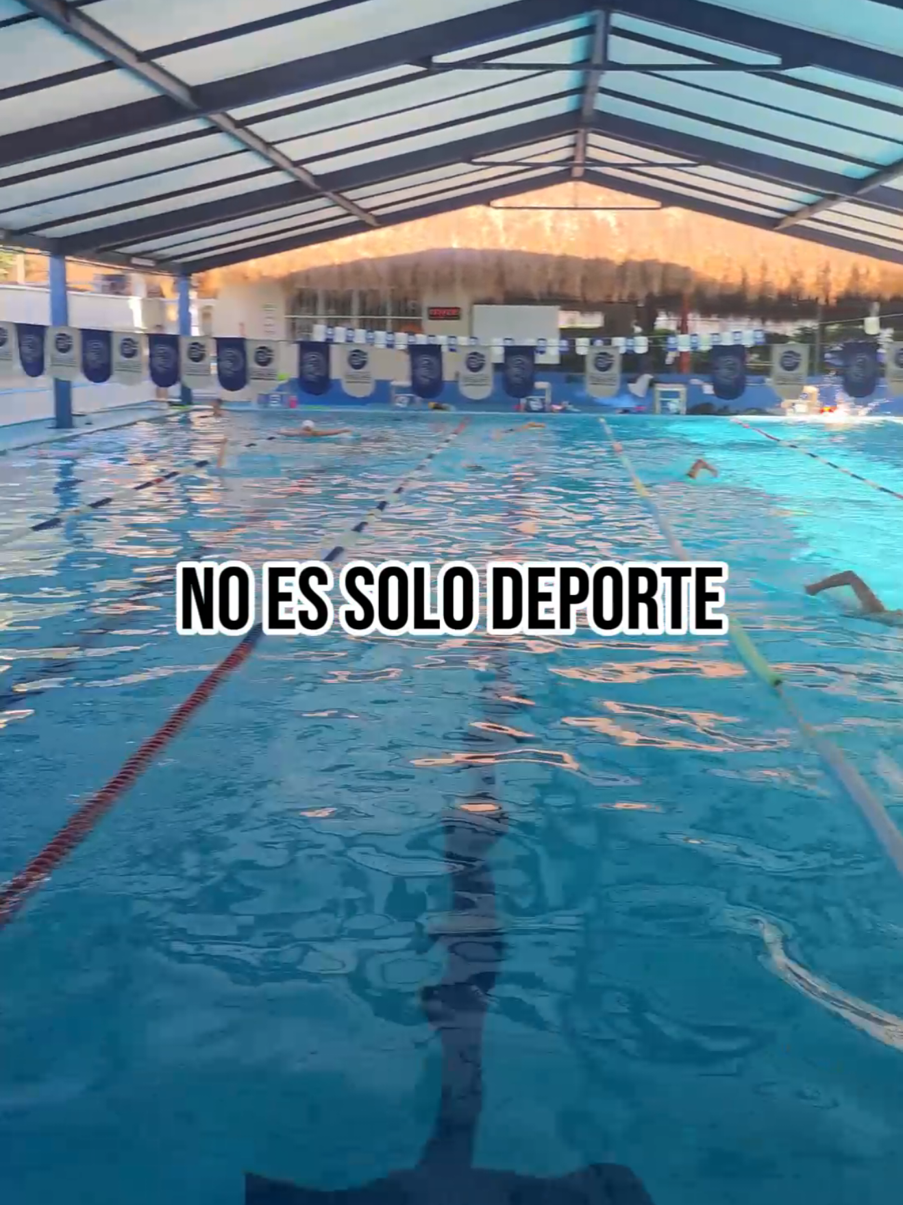@Leones del Ingl&eacute;s