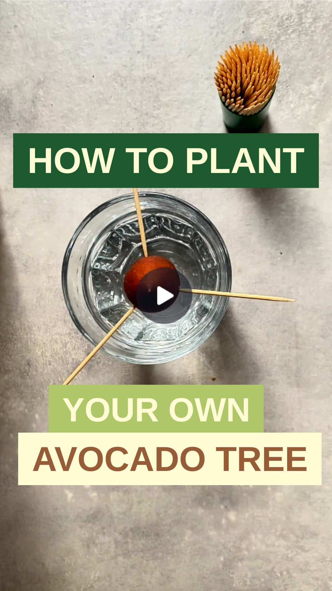 @Avocado 🥑 🇬🇧