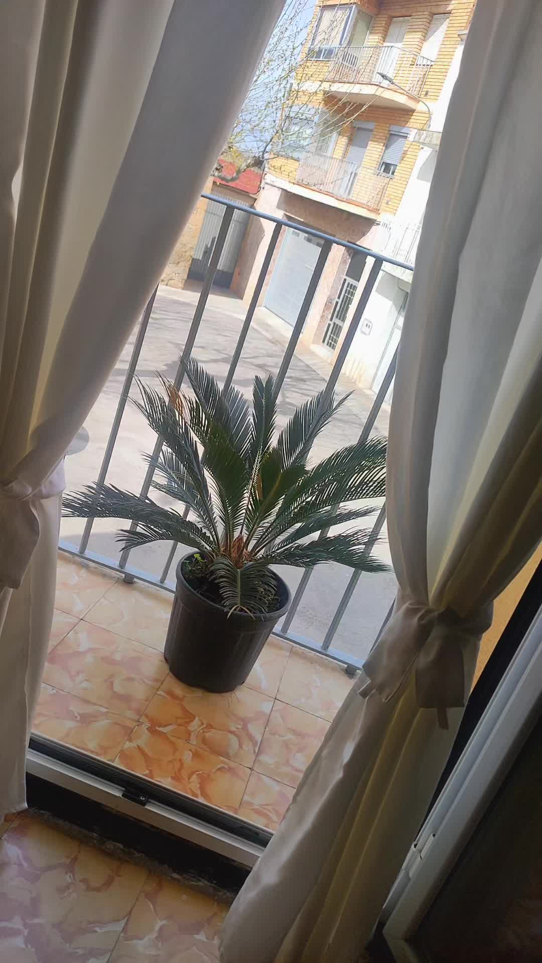 @Mir&eacute;❤️&zwj;🔥