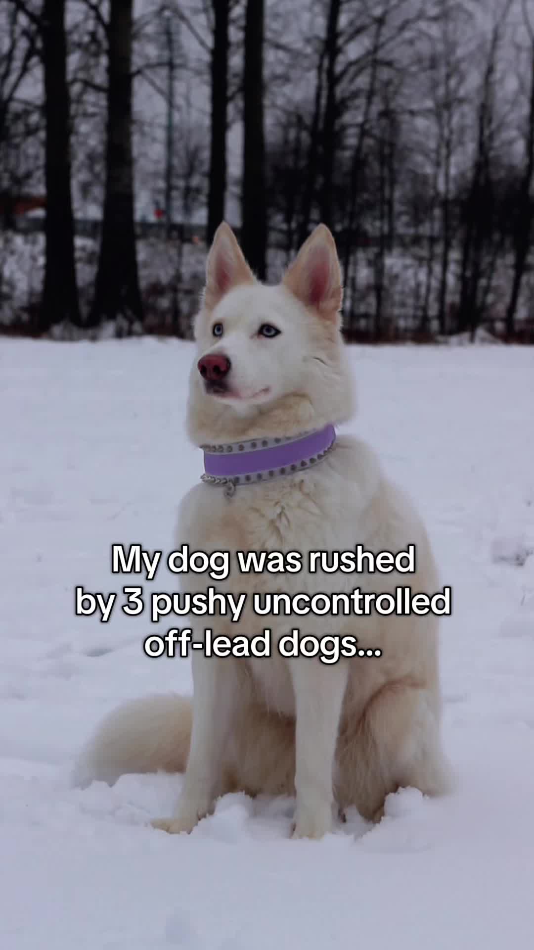 @Freya ❄️