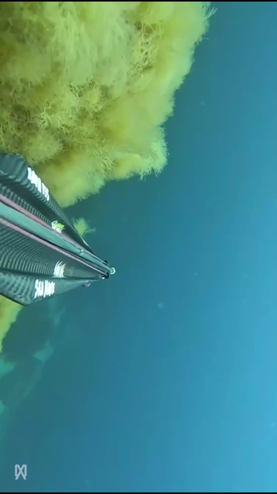 @seahawksub