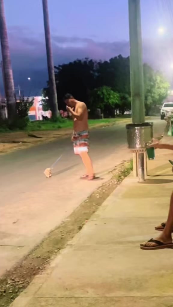 @Z&eacute; bebinho da mam&atilde;e oficial