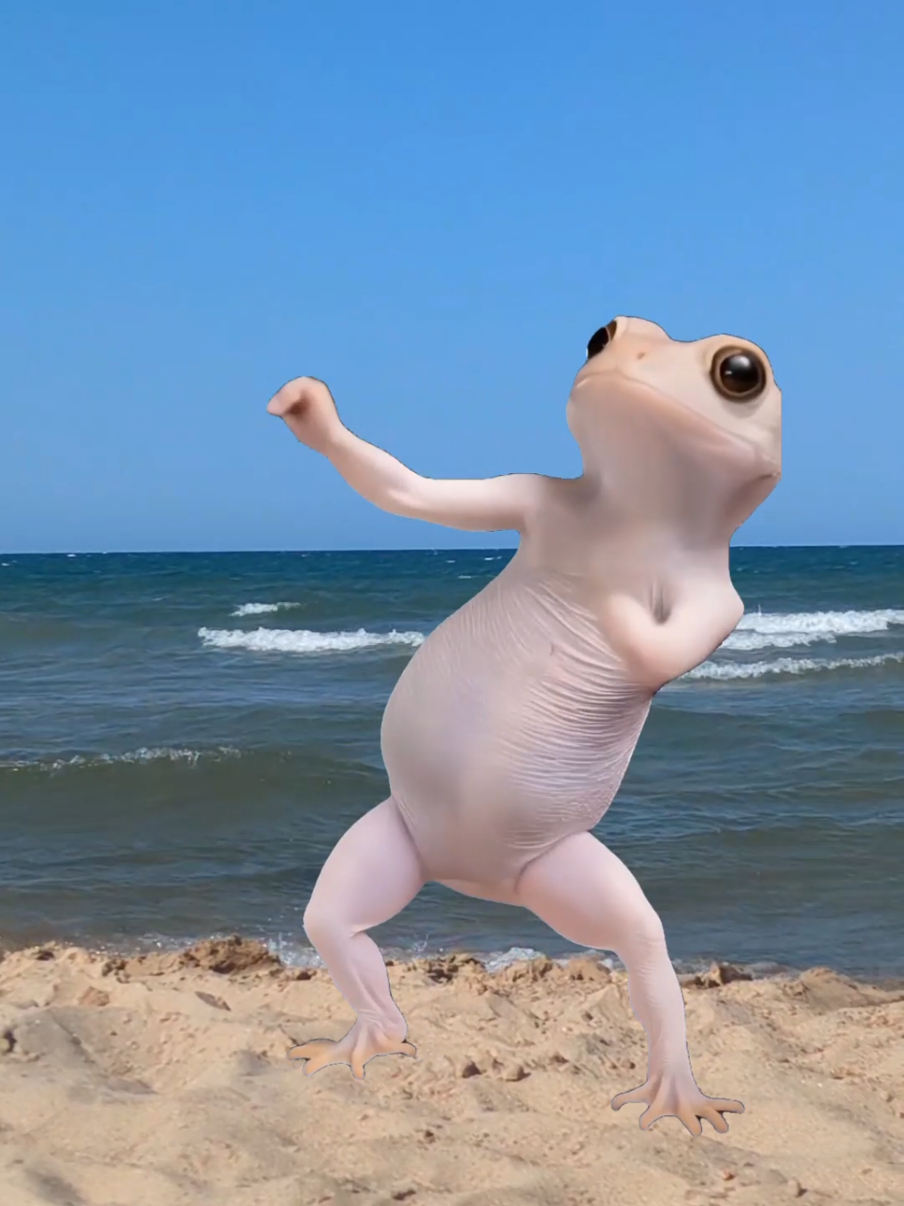@๐๐ต๐๐ต๐ฒ๐ช_๐ฐ๐ฌ