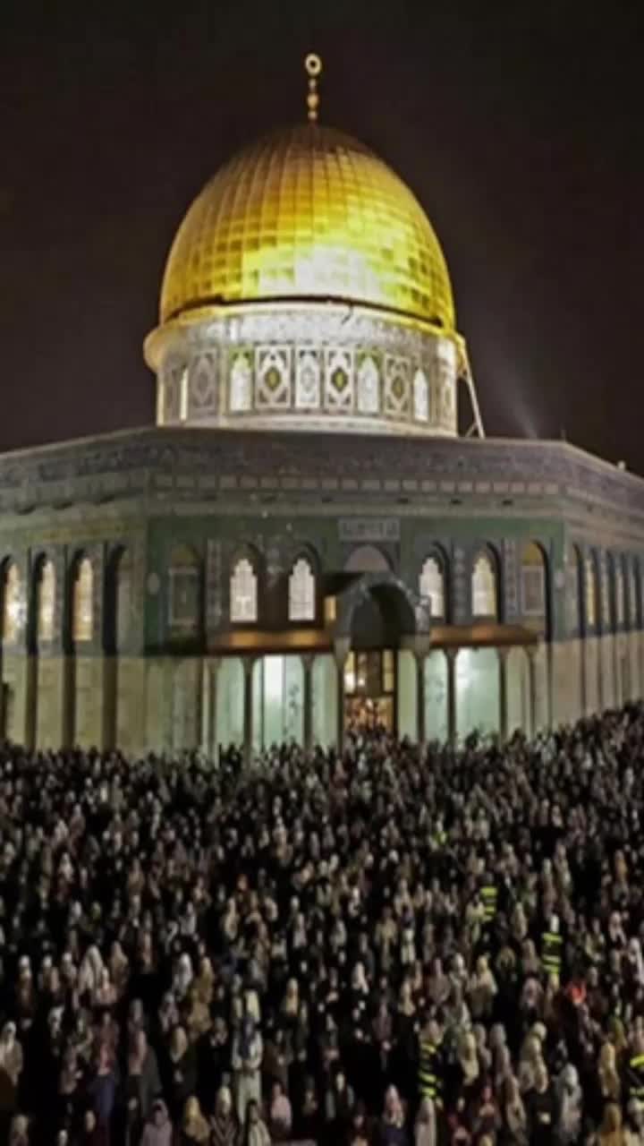 @محمد حسين الي٤٥٦