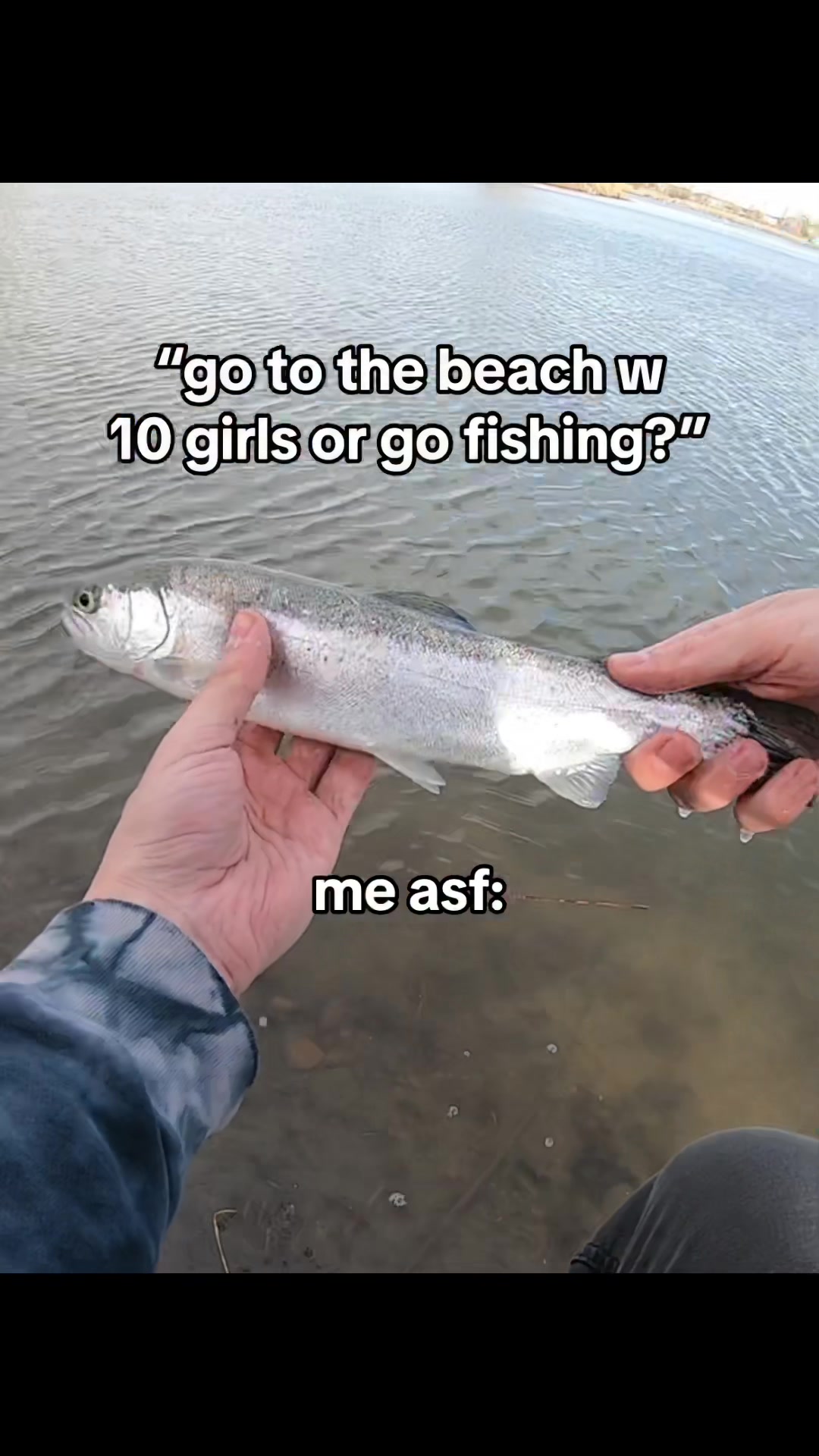 @Fish The East