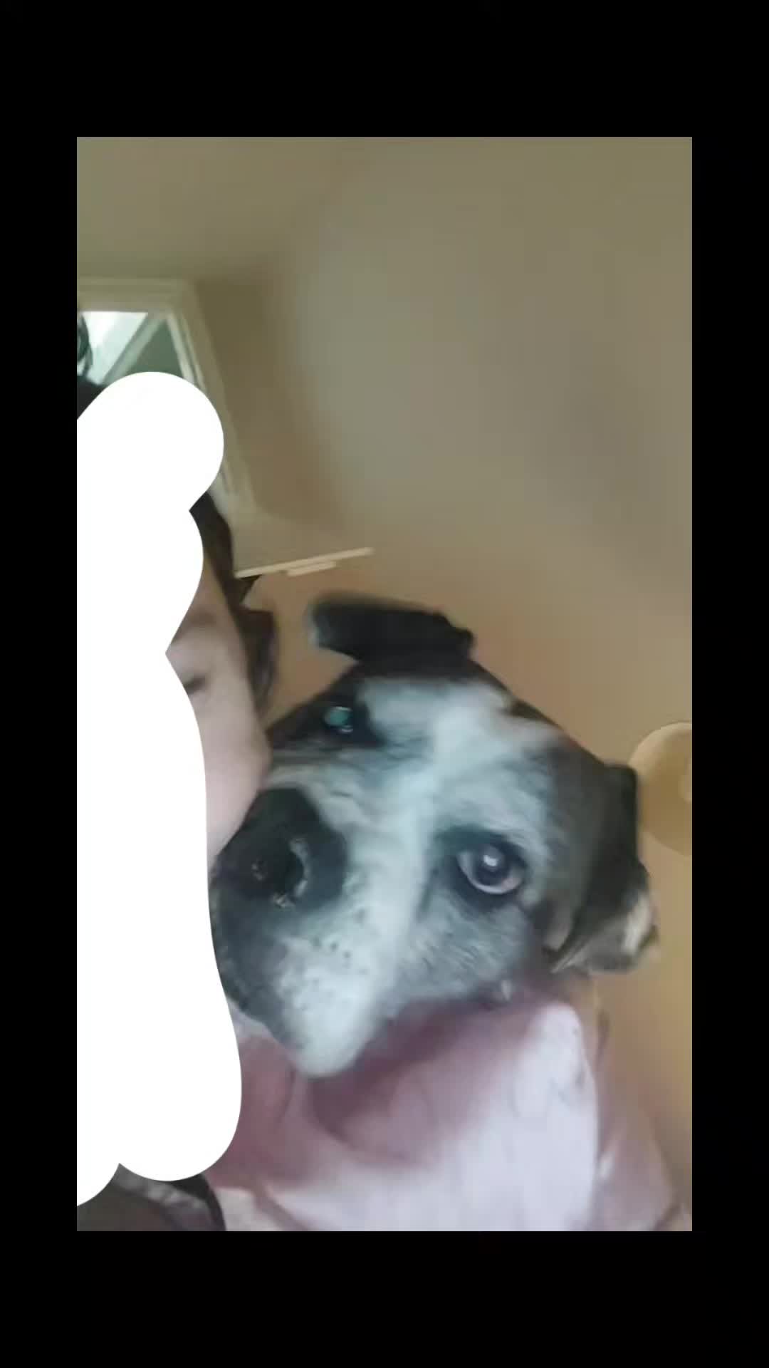 @♡𝒦𝒶𝒾𝓈𝒽𝒶♡