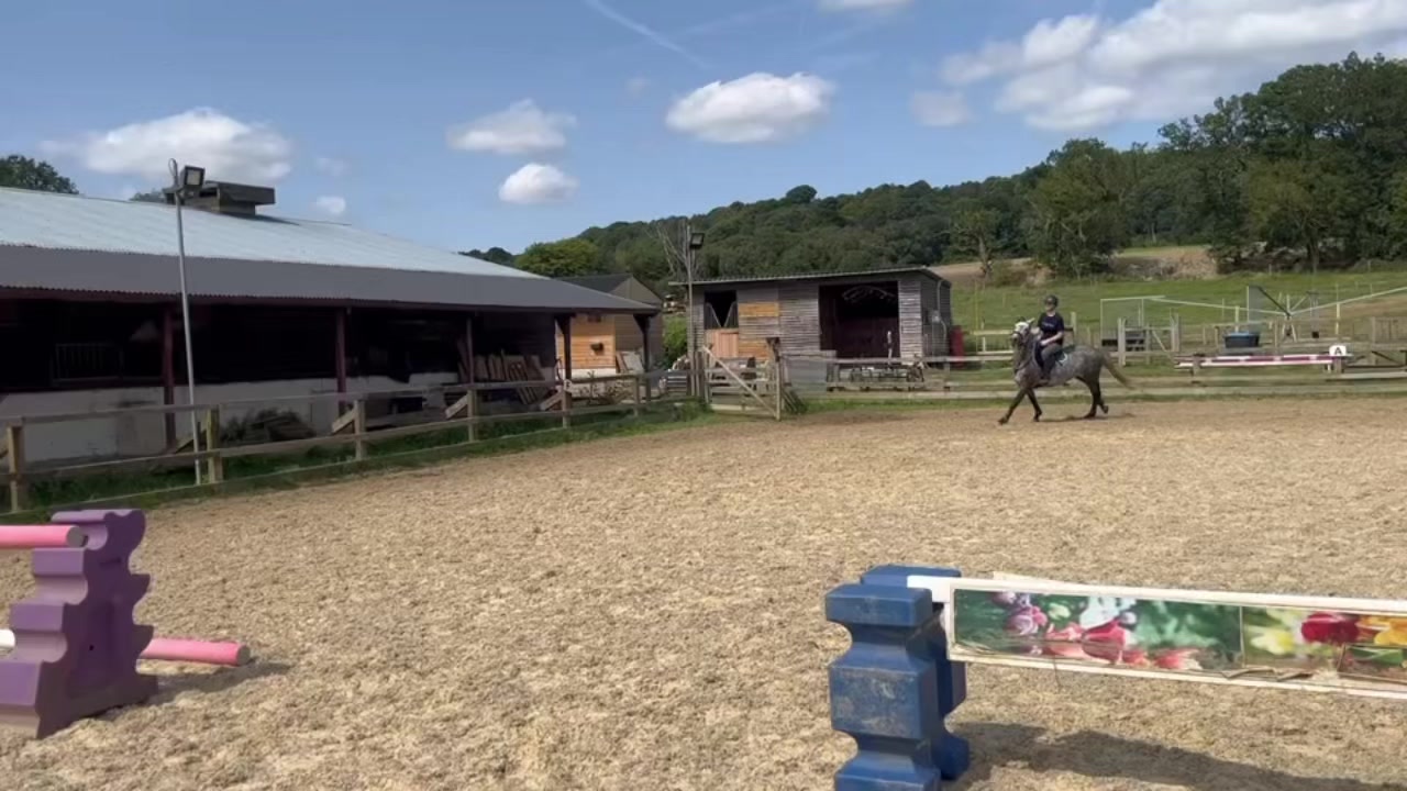 @Ruby🐴
