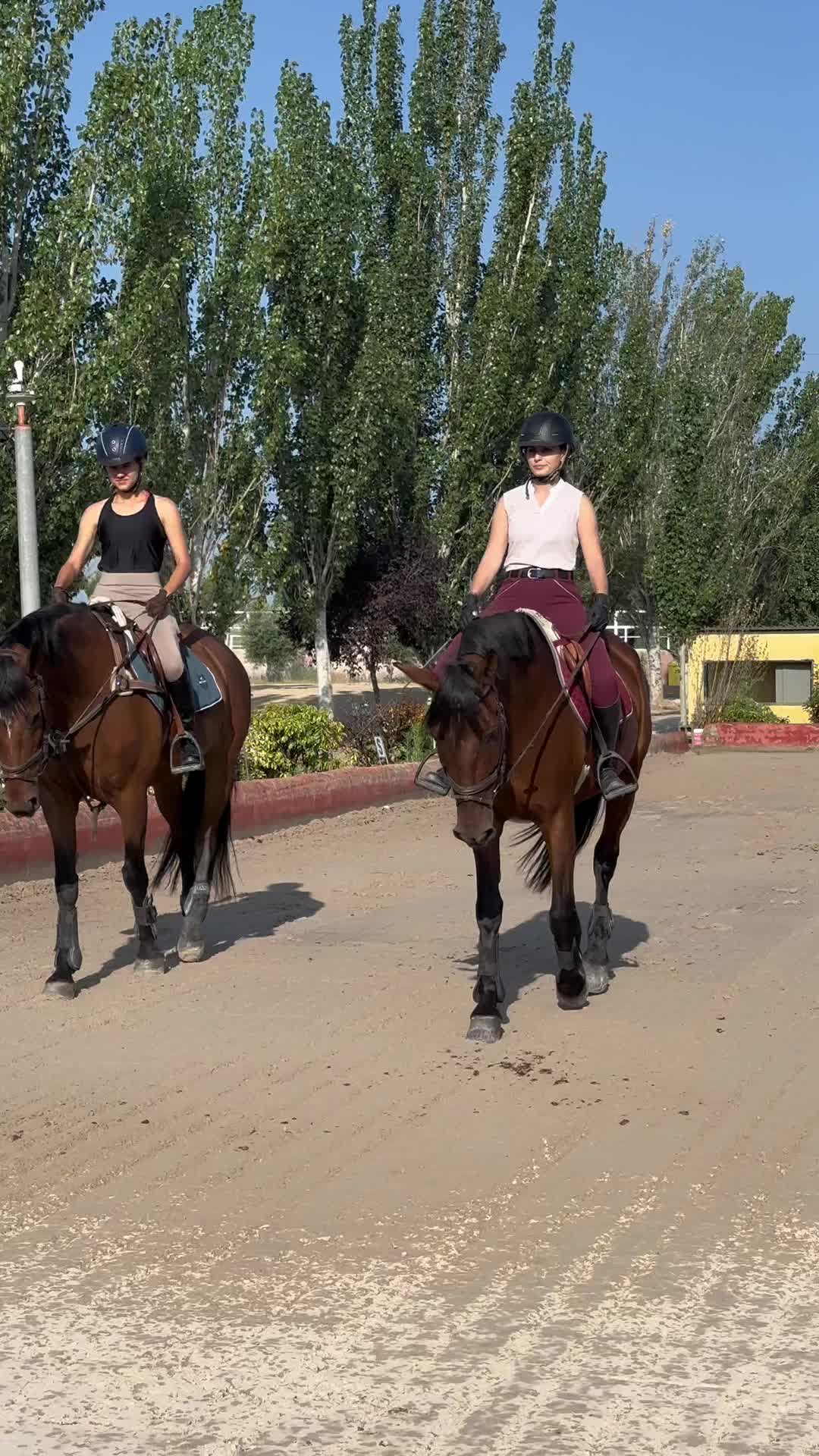 @MHA Teamriding