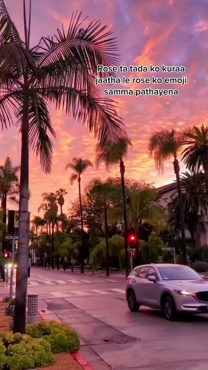 @hallelujah