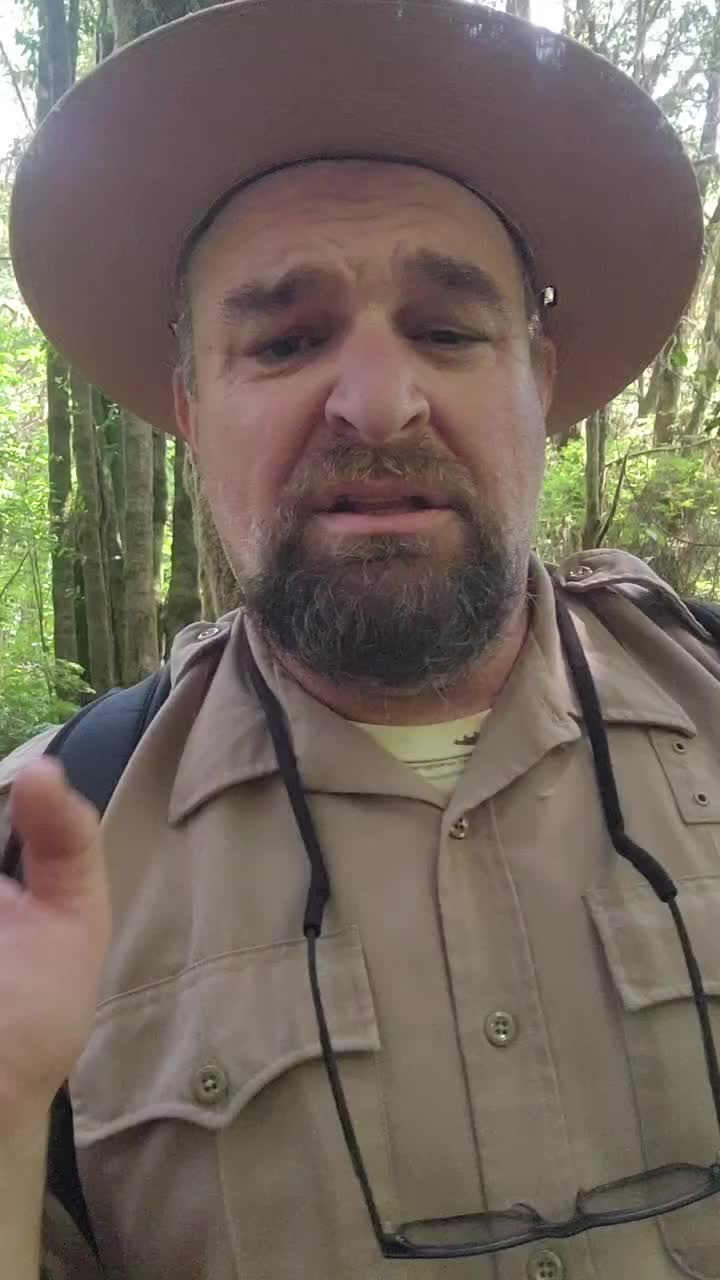 @Redwoods Rising