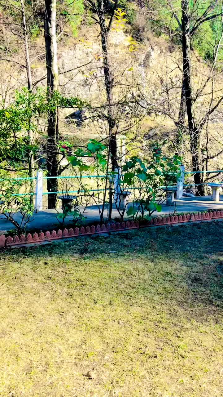 @Y K Buneri