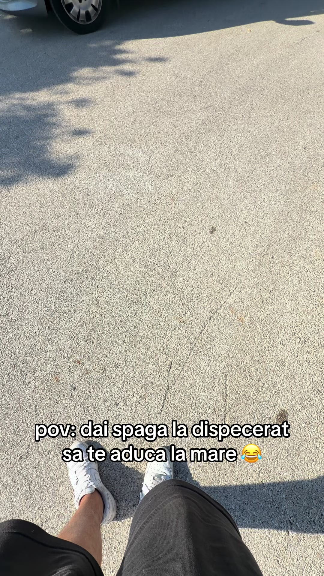 @vichon