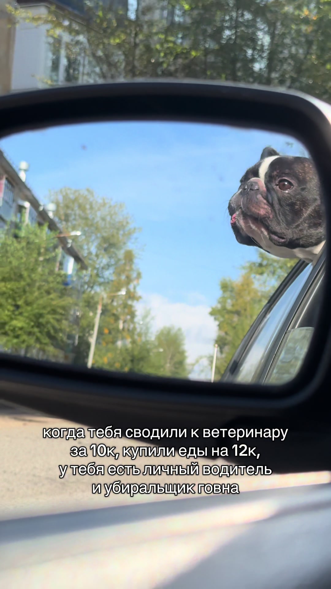 @кекс