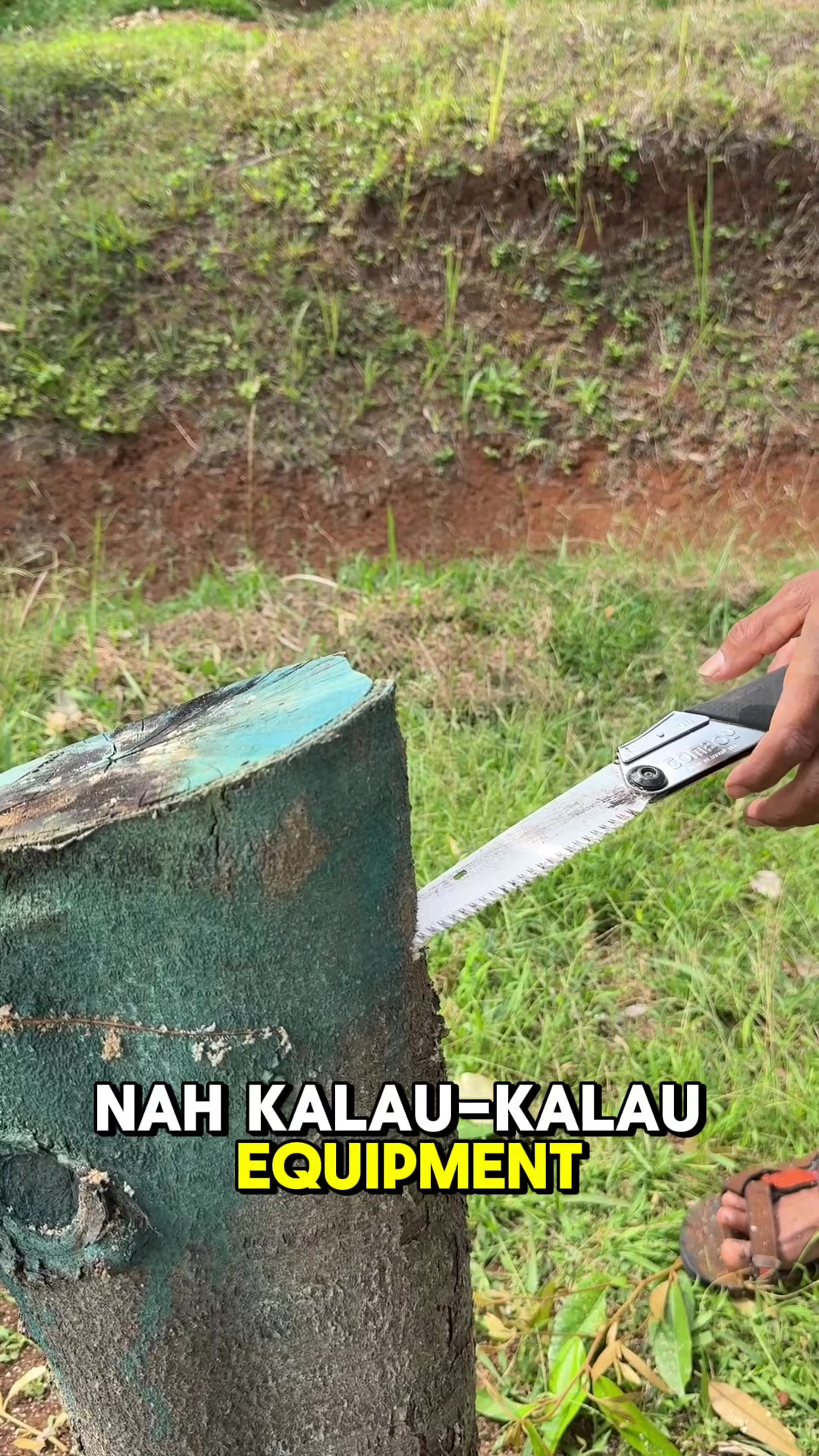@AA KADU