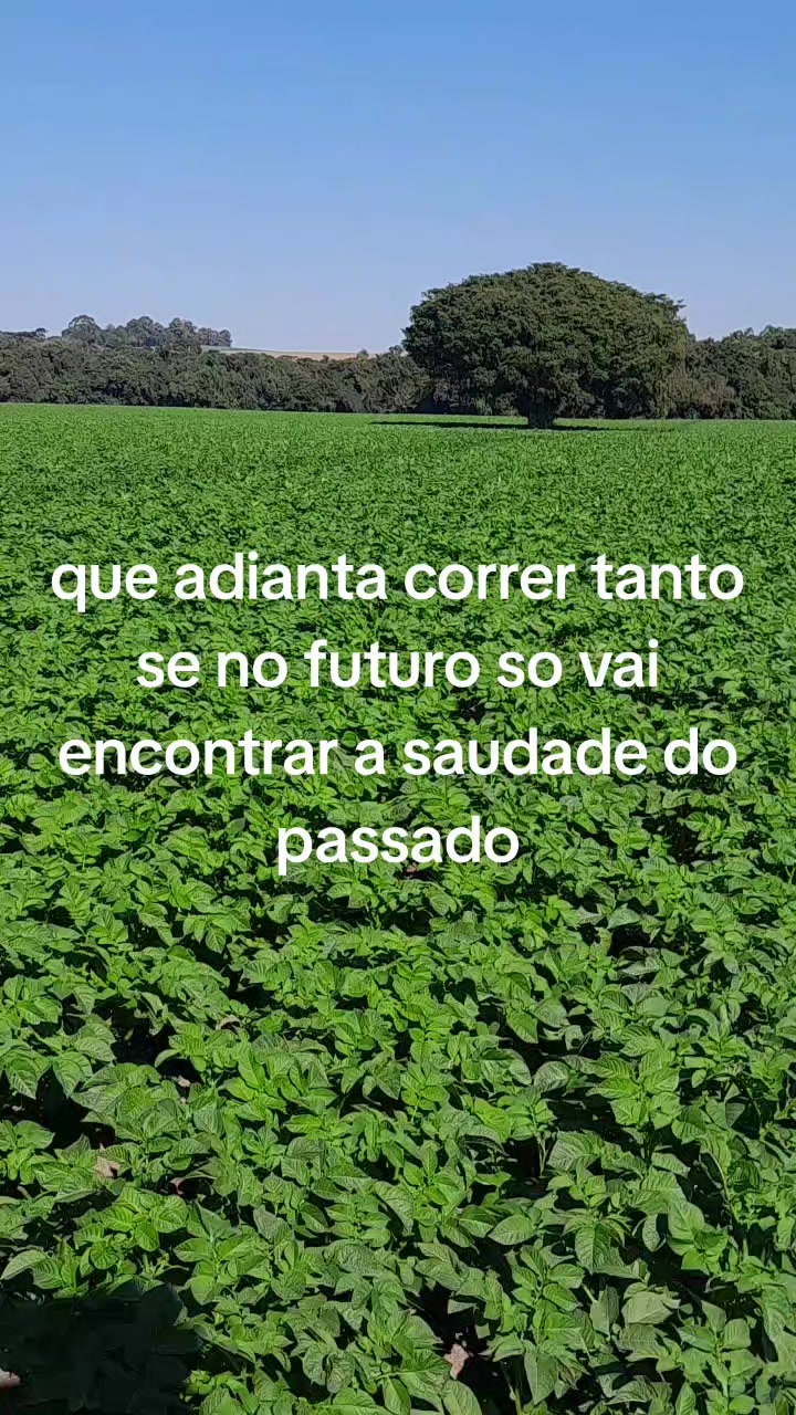 @laerciomarques26