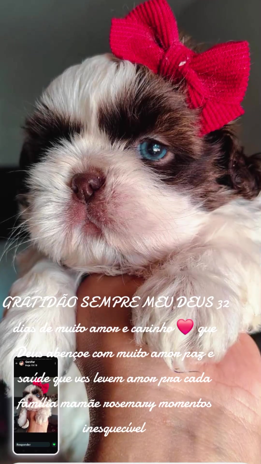 @ROSEMARY E CARLOS PAI DE PETS