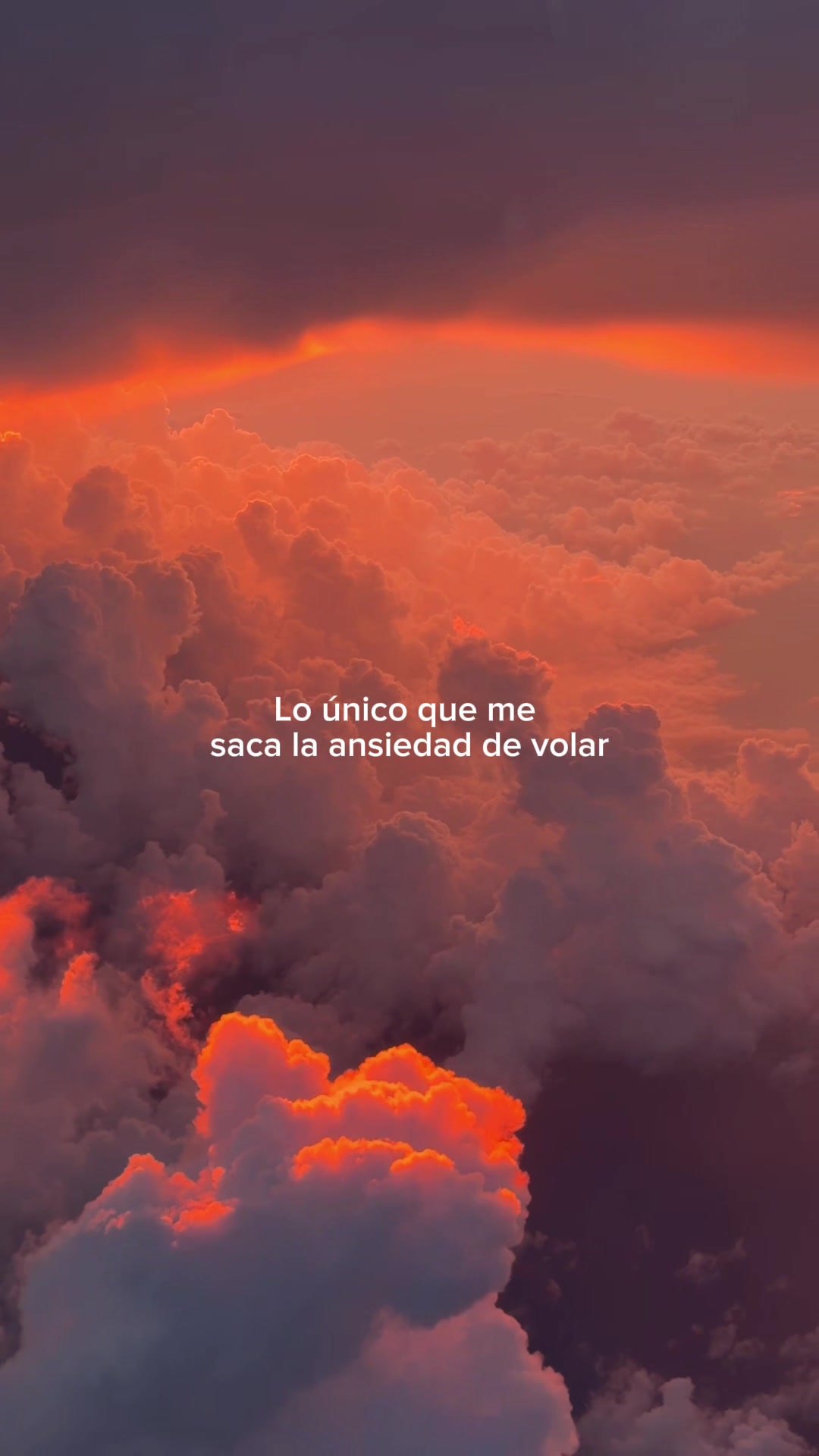 @Caro Trippar