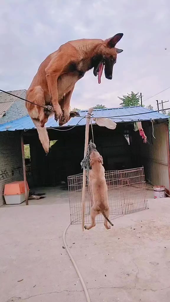 @𝐄𝐋𝐋𝐓𝐎