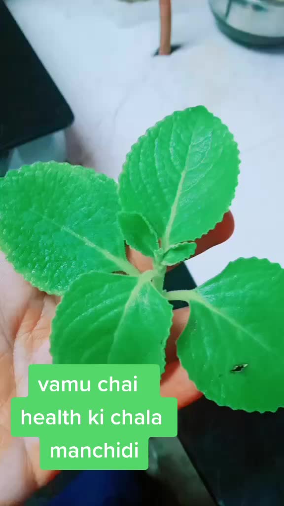 @sravs