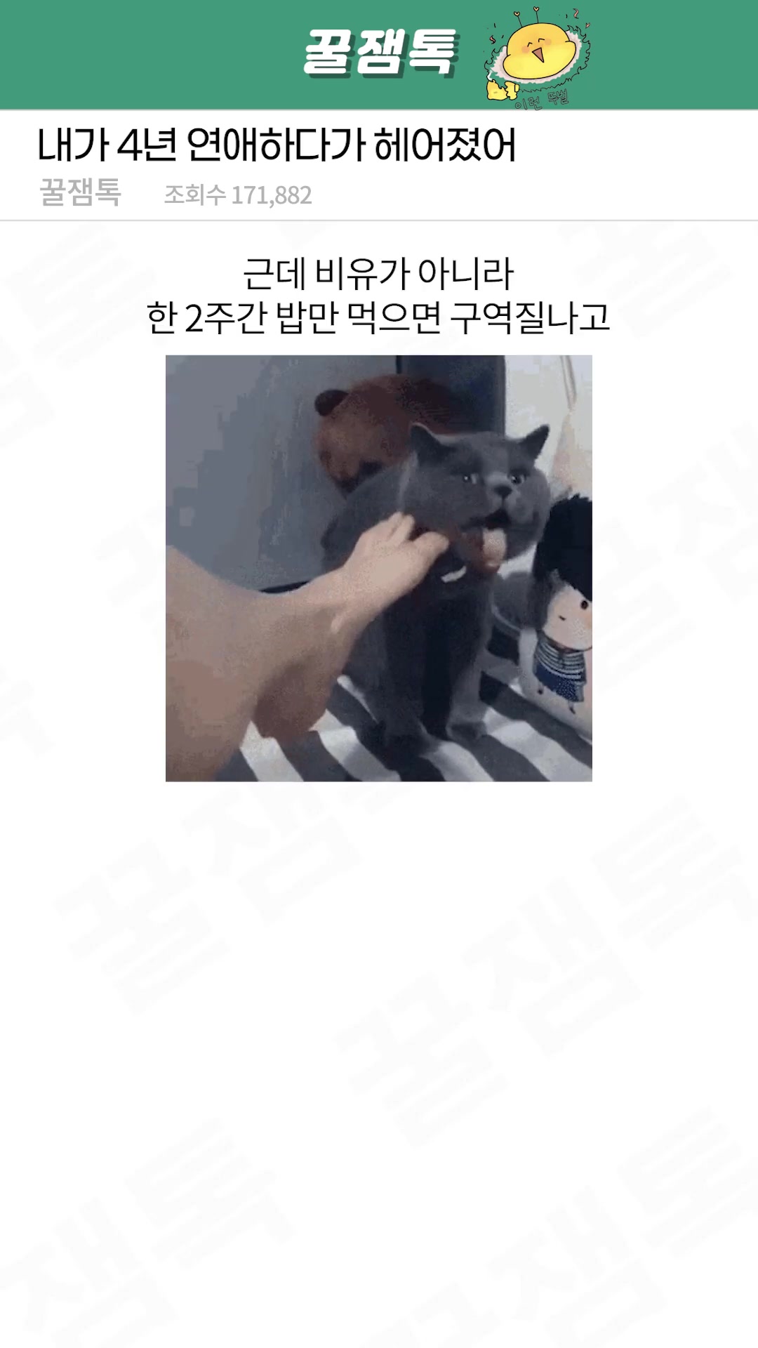 @모두의톡