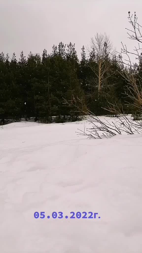 @Эльвира