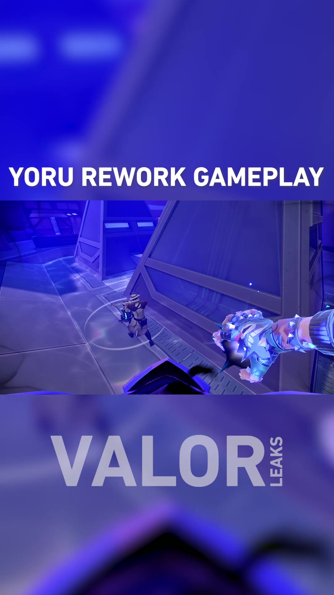 @ValorLeaks