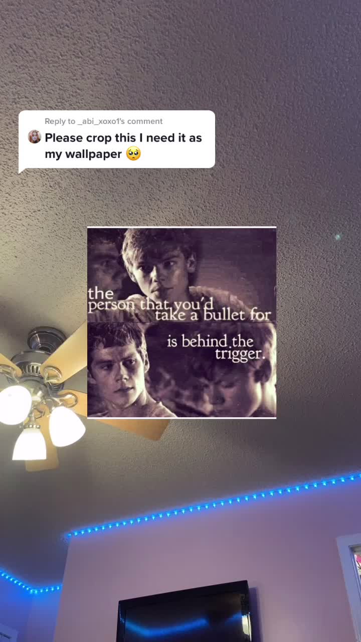 @Maze runner