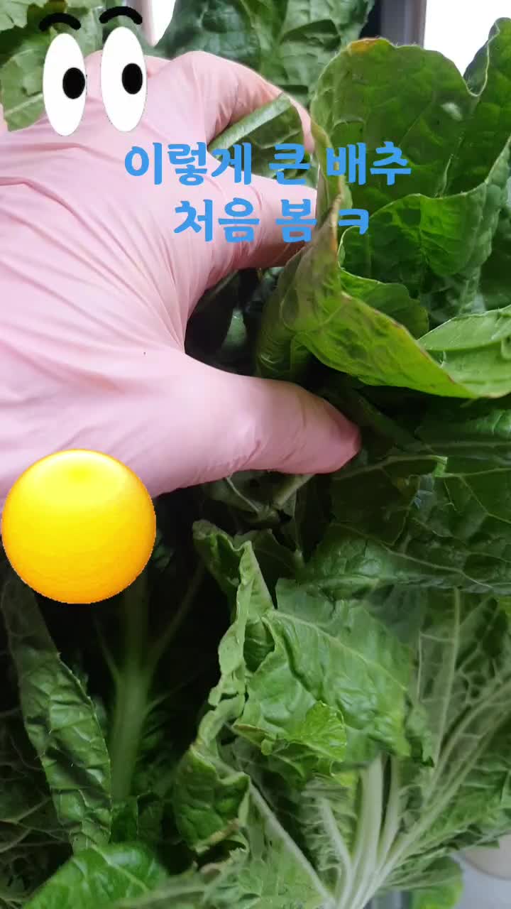 @happy
