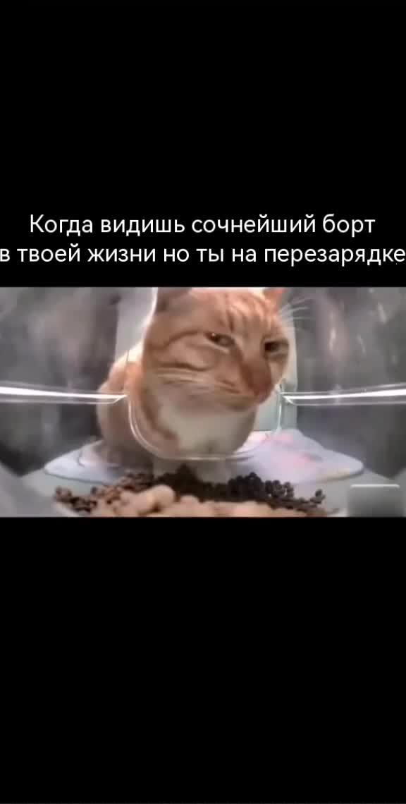 @Фюрер_В_Танке
