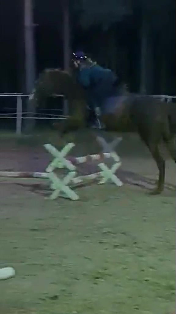 @Końska Grupa🐎